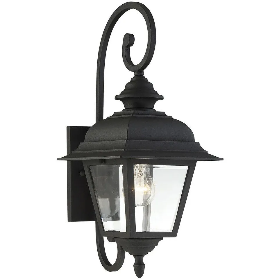 1-Light Outdoor Wall Lantern