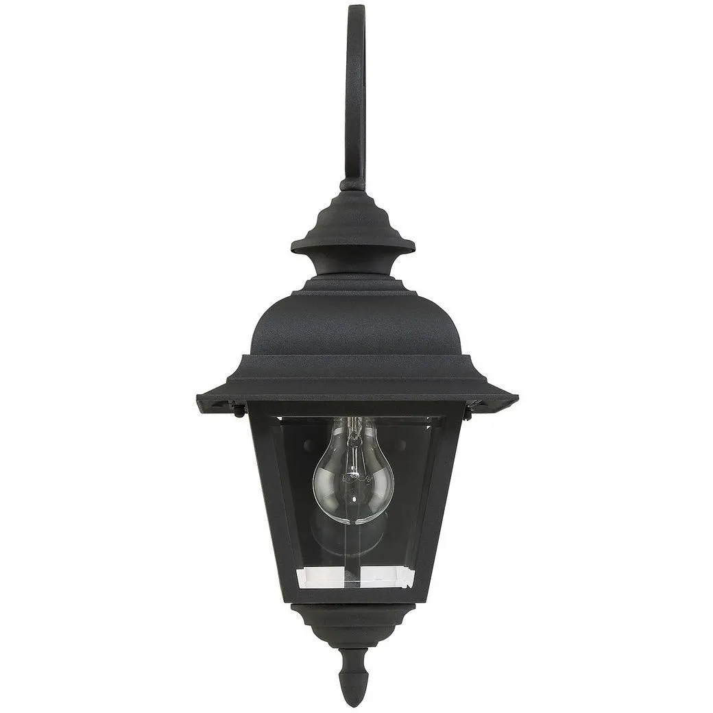 1-Light Outdoor Wall Lantern