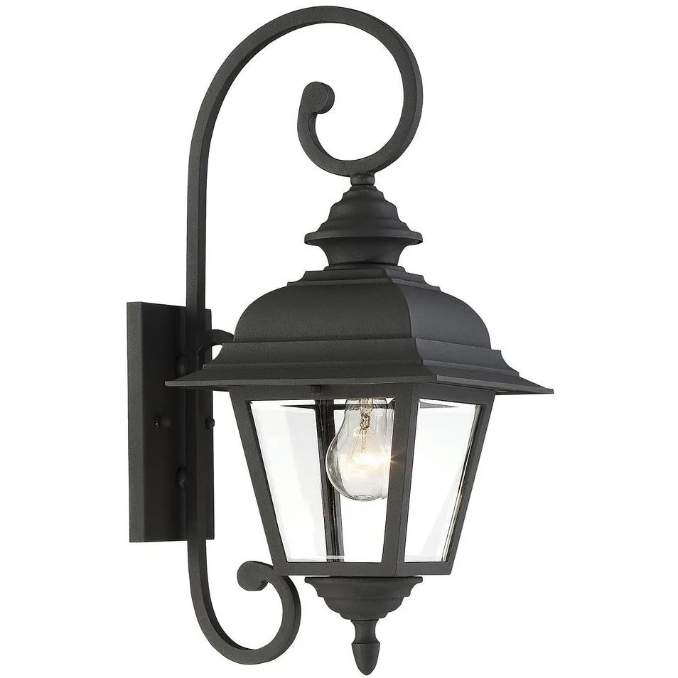 1-Light Outdoor Wall Lantern