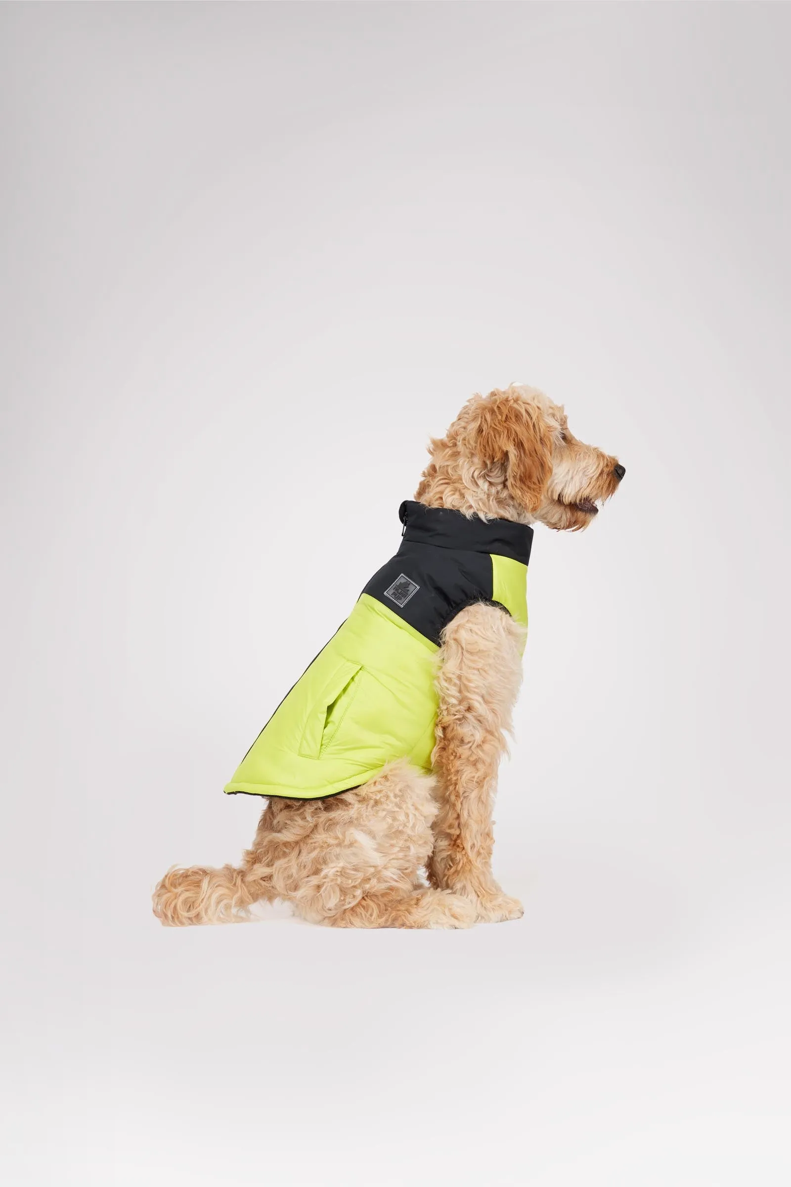 Derby Sporty Jacket for Dogs