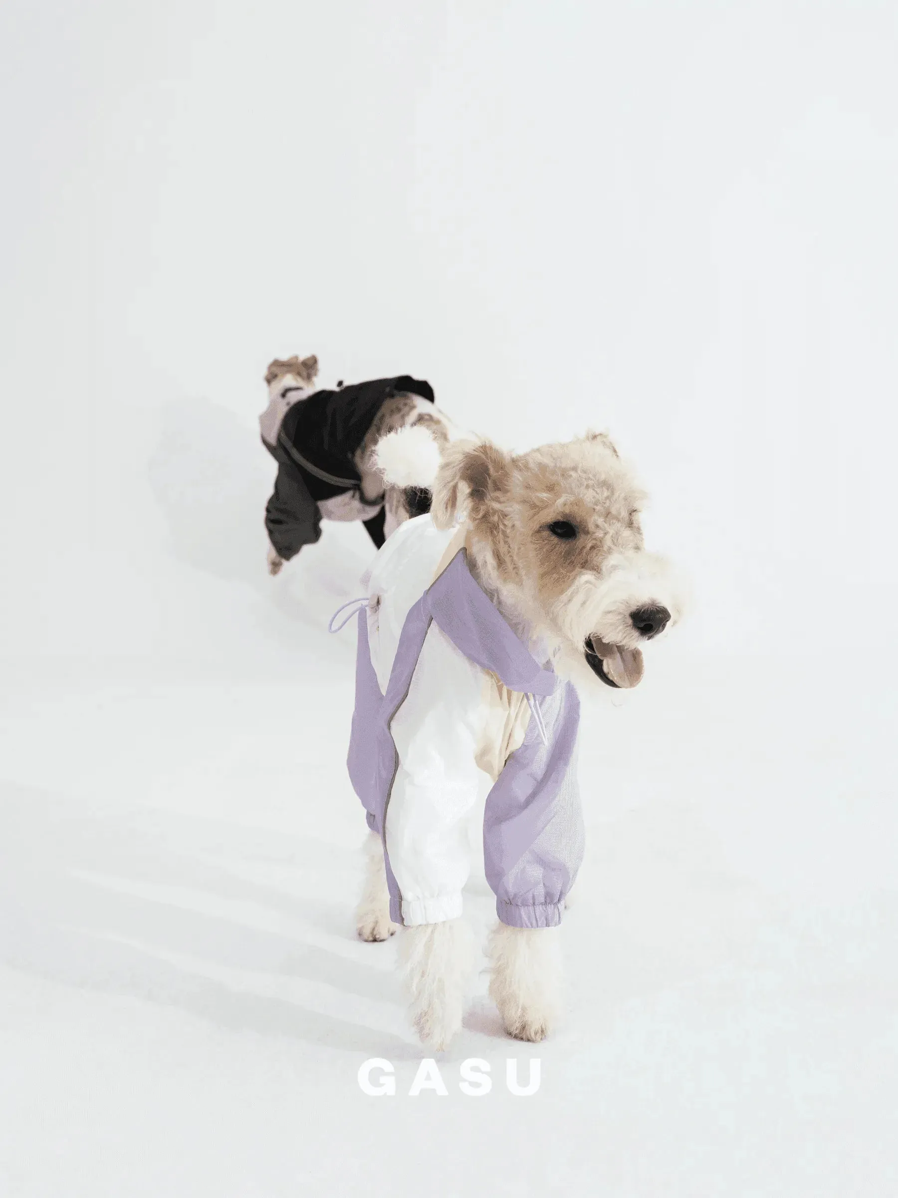 Detachable 4-Leg Dog Raincoat | Cloudy Purple