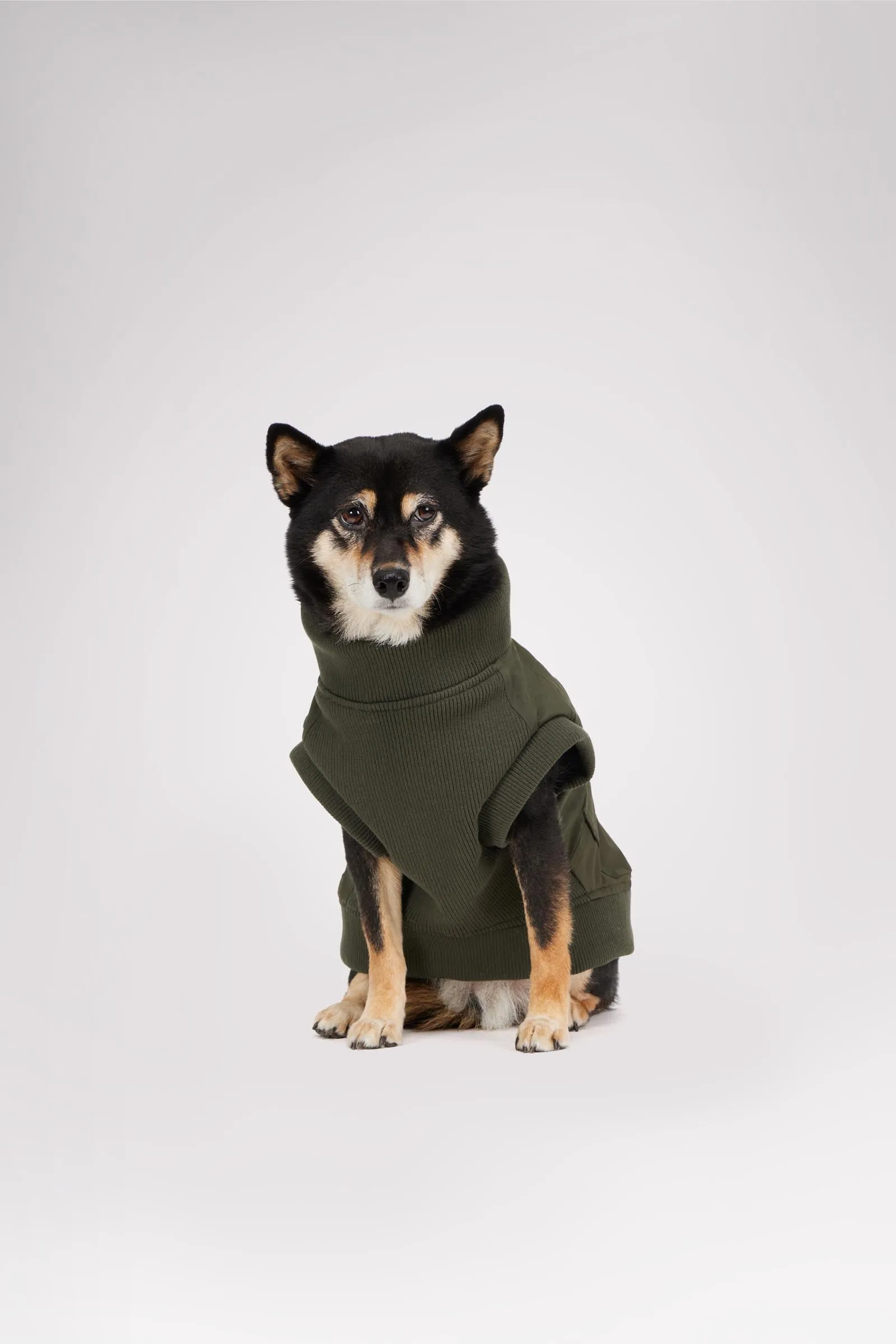 Marley Bomber Jacket for Dogs